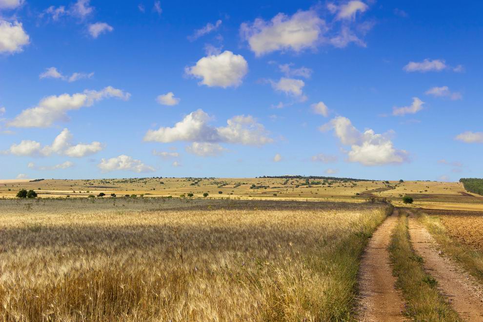 Alta Murgia Puglia