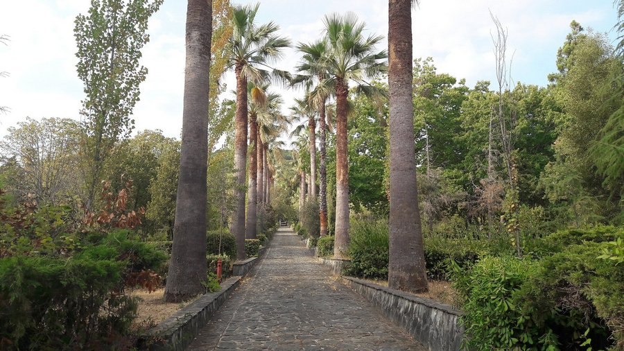 Lamezia Terme