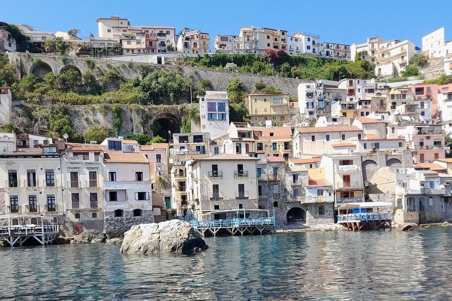 Scilla