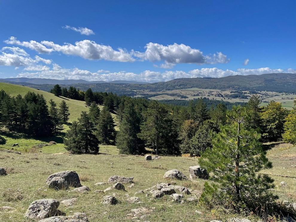 Sila nemzeti park - Calabria