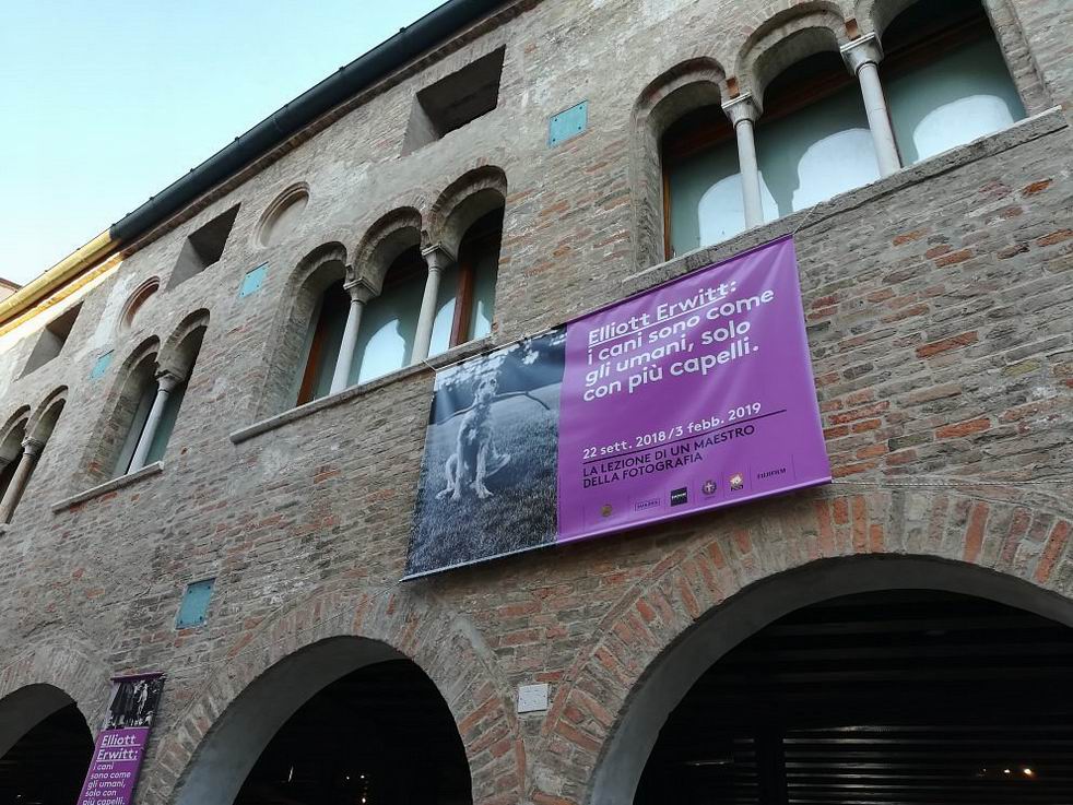 Treviso Casa dei Carraresi