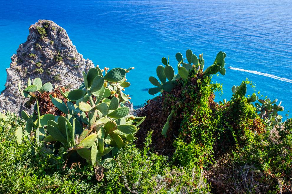 capo vaticano