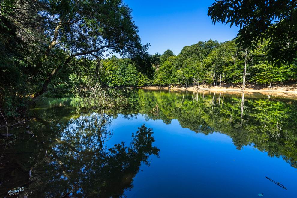 Foresta Umbra - Puglia