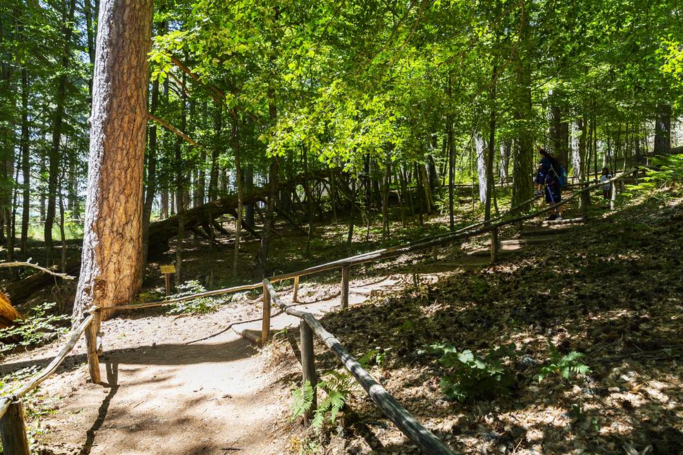 Parco Nazionale della Sila - Calabria