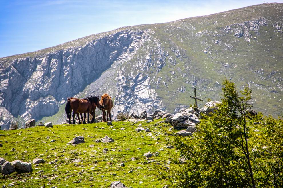 Pollino Nemzeti Park