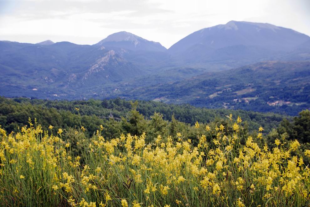Pollino Nemzeti Park