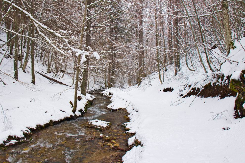 Sila Nemzeti Park