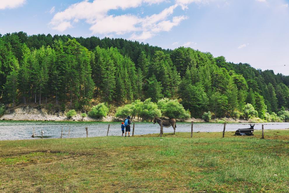 Sila Nemzeti Park